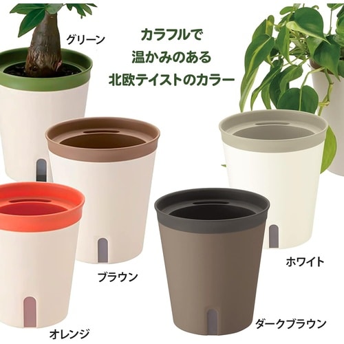 ミエルノPlus ポット 17型N W