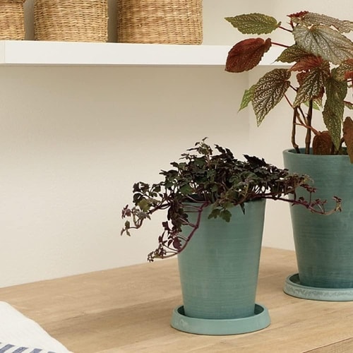 ボタニー トールポット 12型 BK