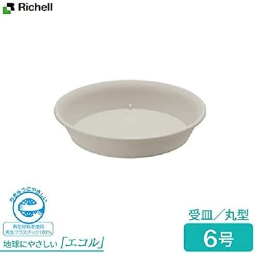 エコル プレート 6号 W