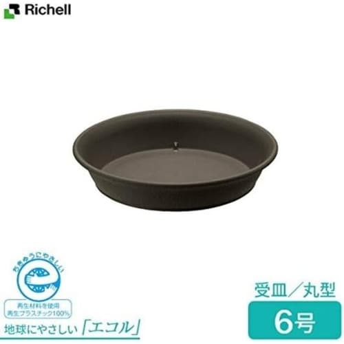 エコル プレート 6号 DG