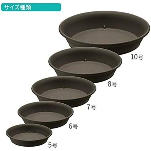 エコル プレート 6号 DG