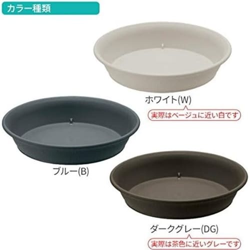 エコル プレート 6号 DG