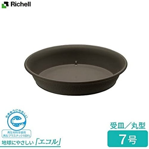 エコル プレート 7号 DG