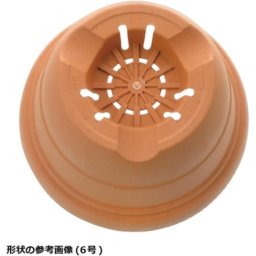 ひよっこ ポット 5号 BE