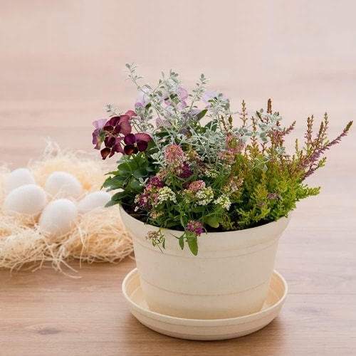 ひよっこ ポット 5号 BE