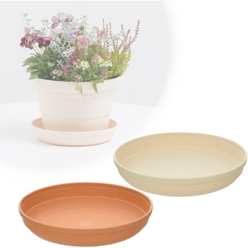 ひよっこ プレート 5号 BE