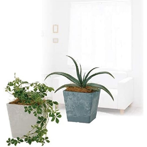 ボタニー スクエアポット 10型 LG