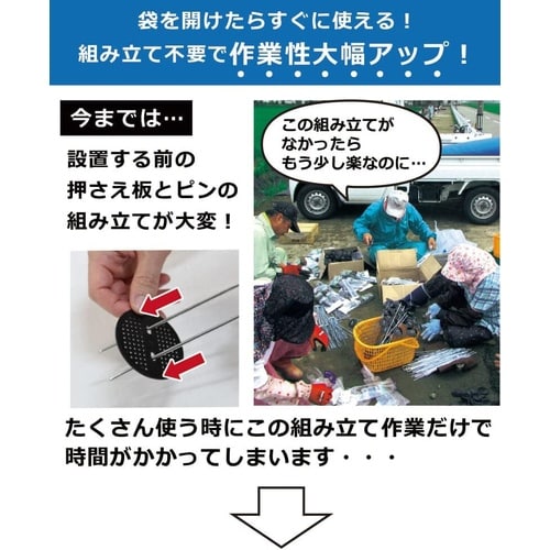 らくらくシート押さえピン フラットタイプ 20cm