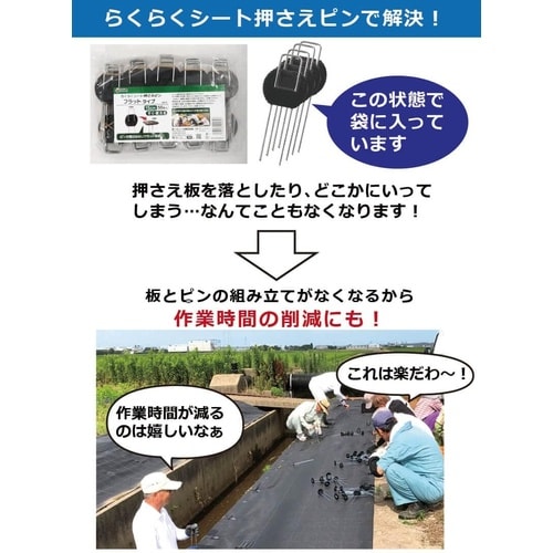らくらくシート押さえピン フラットタイプ 20cm