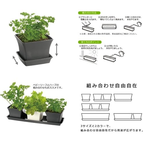 ベビーリーフプランター 12型N IV
