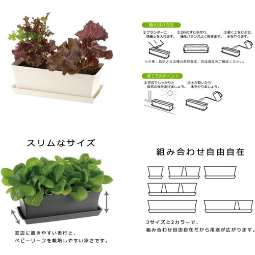 ベビーリーフプランター 27型N DG