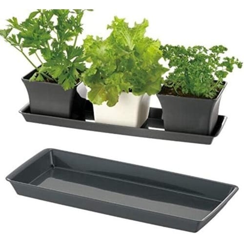 ベビーリーフプレート 27型N DG