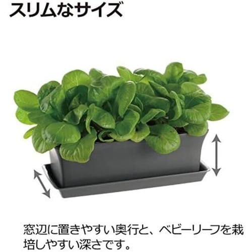 ベビーリーフプレート 27型N DG