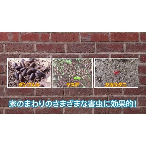 不快害虫粉剤EX 1.2kg