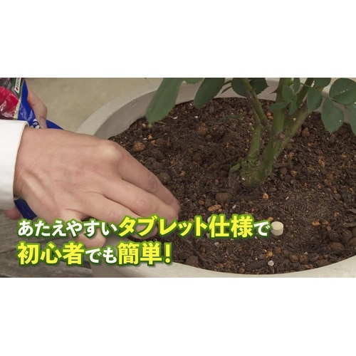 マイローズ ばらの置くだけ肥料 150g