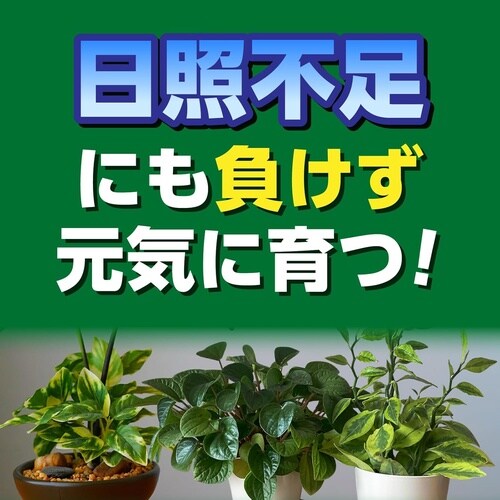 X−ENERGY つめかえ用 1000ml