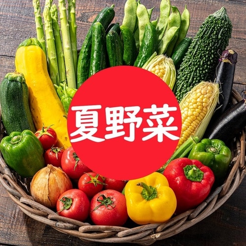 野菜の有機化成肥料 400g