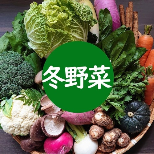 野菜の有機化成肥料 400g
