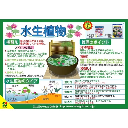 水生植物の肥料 120g