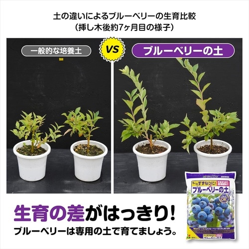 ブルーベリーの土 5L