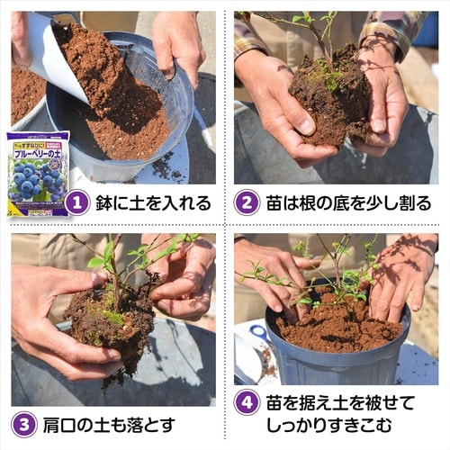 ブルーベリーの土 5L