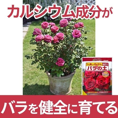 バラの土 5L