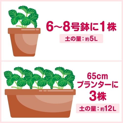 甘いイチゴをつくる土 5L