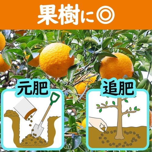 花ごころ 油かす開運 中粒 500g