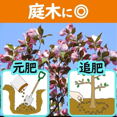 花ごころ 油かす開運 中粒 500g