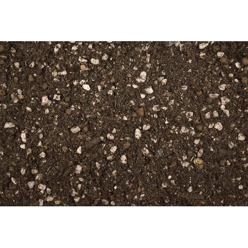 サンセベリアの土 5L