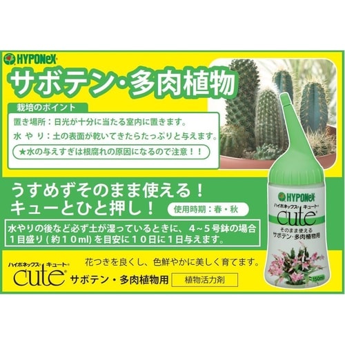 キュート サボテン・多肉植物用 150ml