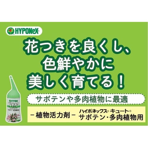 キュート サボテン・多肉植物用 150ml