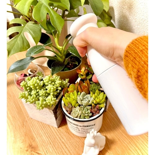 マイクロンスプレーガーデンケア250ml MC−2