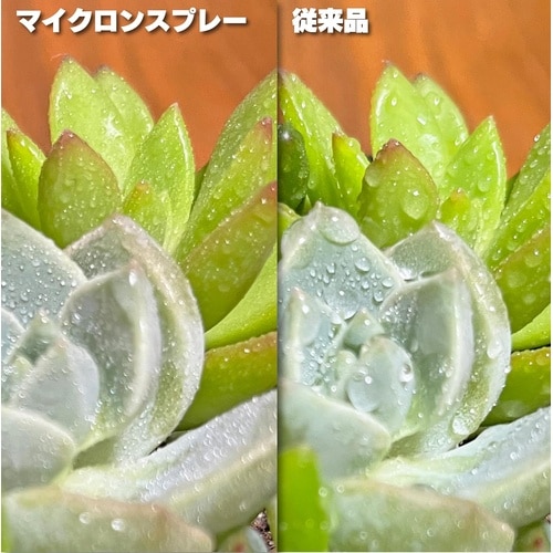 マイクロンスプレーガーデンケア250ml MC−2