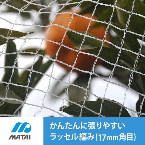 かんたんネット 17mm 白 2x4m