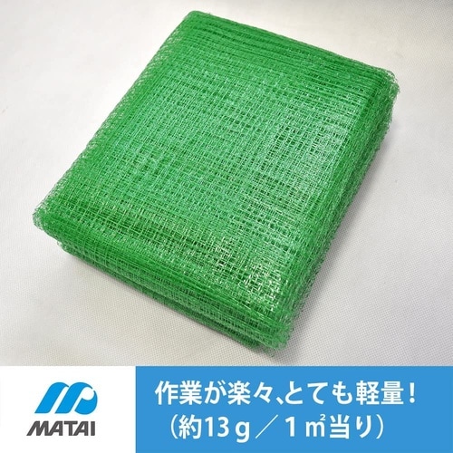 ふわっと蝶鳥 10mm モスグリーン 4x5m
