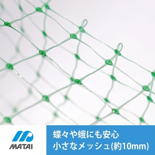 ふわっと蝶鳥 10mm モスグリーン 2x10m