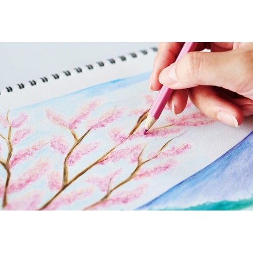 ファーバーカステル色鉛筆12色×4