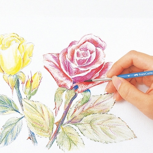 ファーバーカステル水彩色鉛筆24色×2