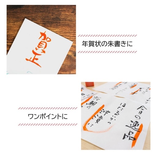 朱液 100mL×6