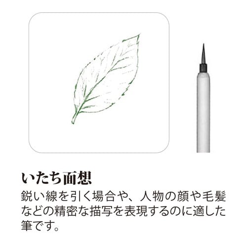 絵手紙筆 いたち面想 小×5