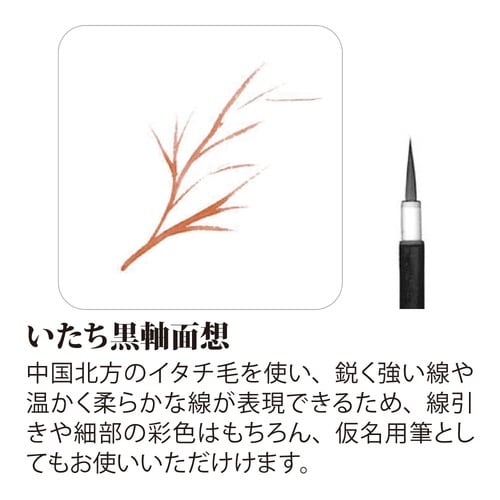 絵手紙筆 いたち黒軸面想 中×5