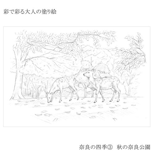 彩で彩る大人の塗り絵 奈良の四季3×20