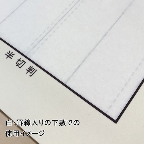 画仙紙・半切「湖山」 10枚入り×5