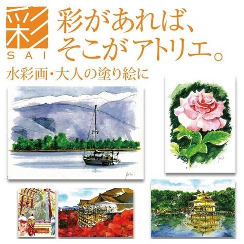 水彩毛筆「彩」艶のある5色セット×3