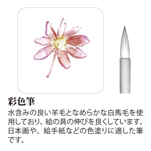 絵手紙筆 彩色筆 大×5