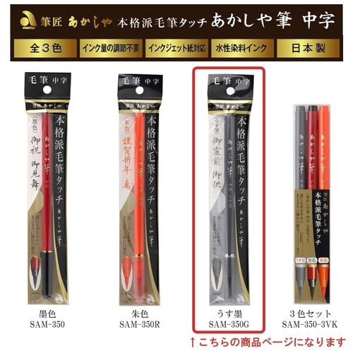 筆ペン 中字 うす墨×10