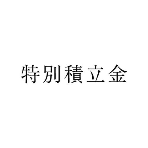 勘定科目印 単品 特別積立金×20