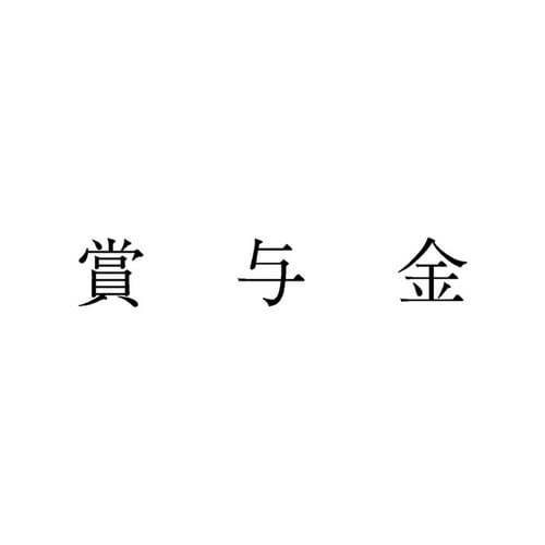 勘定科目印 単品 賞与金×20