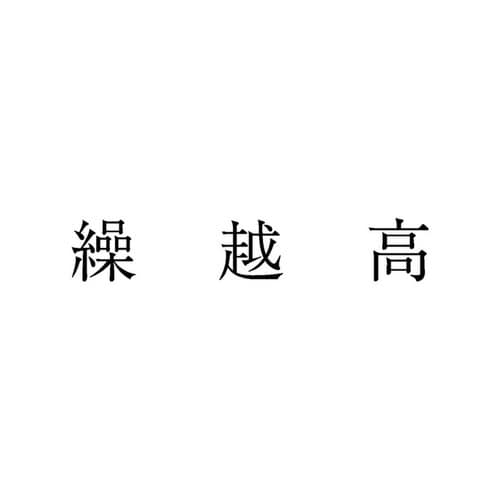 勘定科目印 単品 繰越高×20